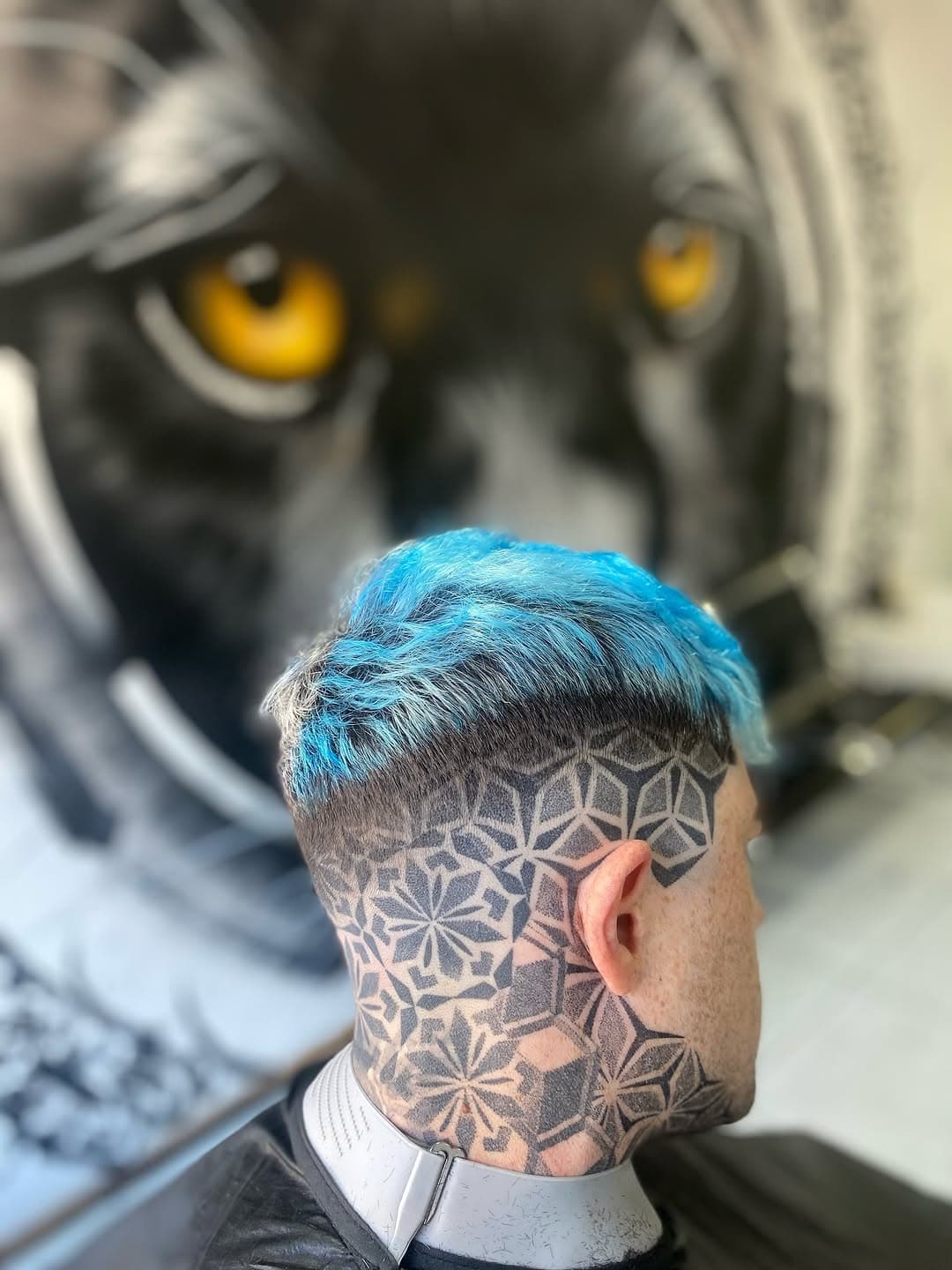 Degradé Panther Barber